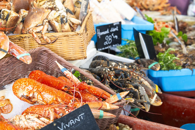 Fotografiert mit Nikon Z8 und Nikkor Z 85mm F/1.2 S in Le Trepore, Frankreich