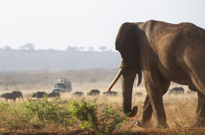 Foto Frauenreise Kenia bei Daniela Skrzypczak