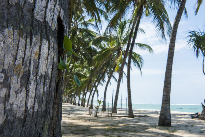 Herzensorte ... Tiwi Beach Kenia