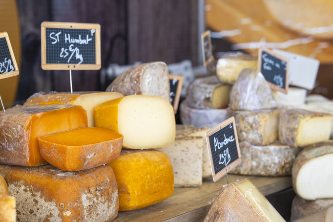 Fotografiert mit Nikon Z8 und Nikkor Z 85mm F/1.2 S in Le Trepore, Frankreich