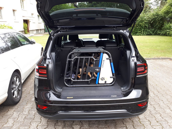 Hundebox Fur Rucksitz Und Transportbox Fur Hunde In Der Praxis Cratetec Hundeboxen Mehr