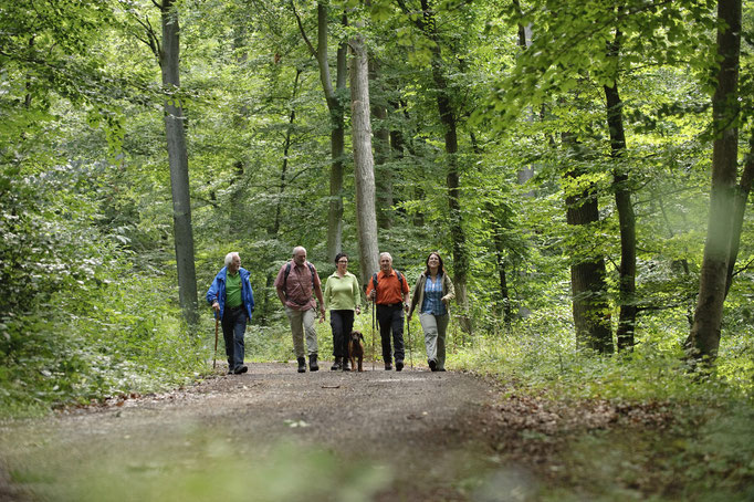 Wanderurlaub in der Pfalz