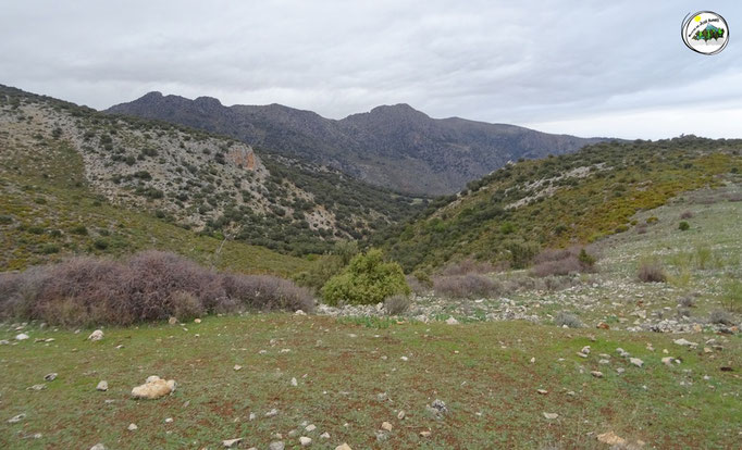 Barranco de la Cueva de los Cervatos y Sierra de La Cruz