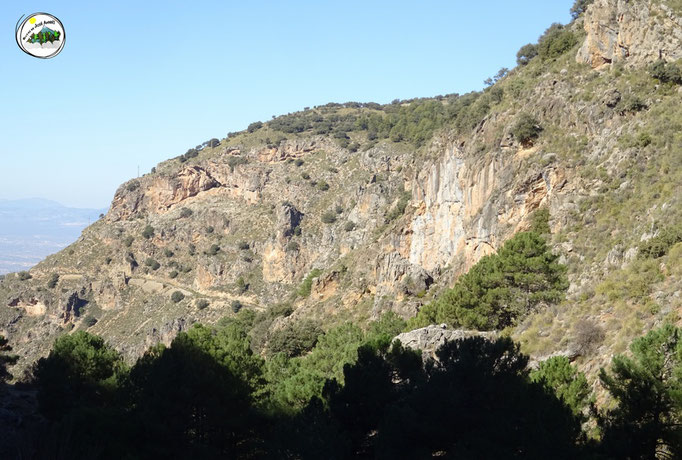 Cerro de Tamboril