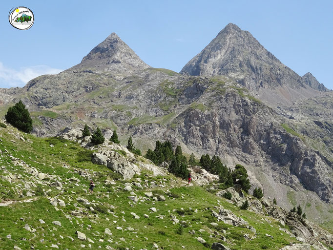 Pico de campo Plano y Llena Cantal