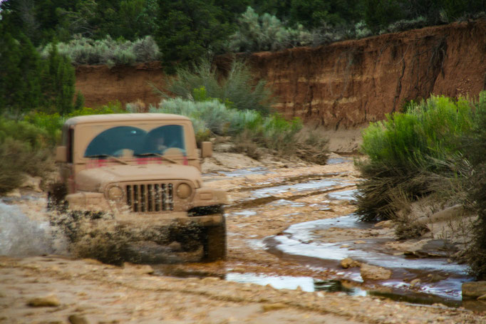 Cottonwood Canyon Road 2010