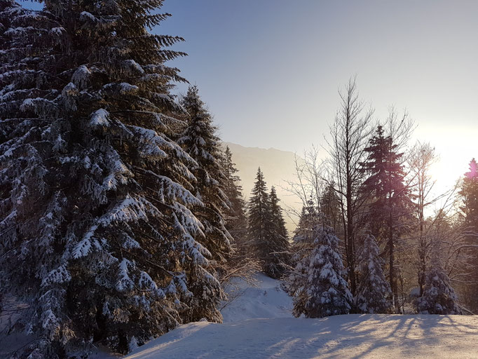 Panasonic Lumix G9 Olympus 12-100 Pro Säntis Schwägalp Winter Schnee Snow Schweiz Berge Mountain Alpen Winterwonderland Zumiko Toyota Hilux Revo #ProjektBlackwolf wolf78 offroad overland Sonne Landschaft Landscape Foto Picture wolf78-overland.ch