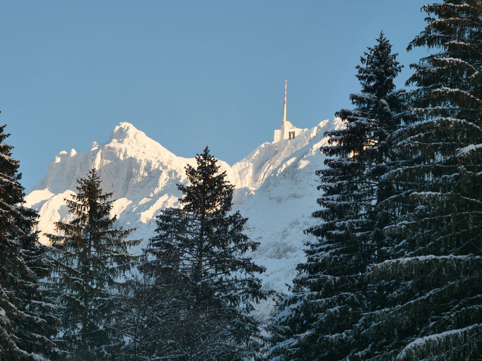 Panasonic Lumix G9 Olympus 12-100 Pro Säntis Schwägalp Winter Schnee Snow Schweiz Berge Mountain Alpen Winterwonderland Zumiko Toyota Hilux Revo #ProjektBlackwolf wolf78 offroad overland Sonne Landschaft Landscape Foto Picture wolf78-overland.ch