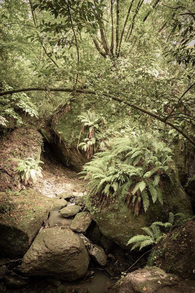© Sibylle Pietrek 2019_Sacro Bosco-Bormarzo-Italien_190529_2296