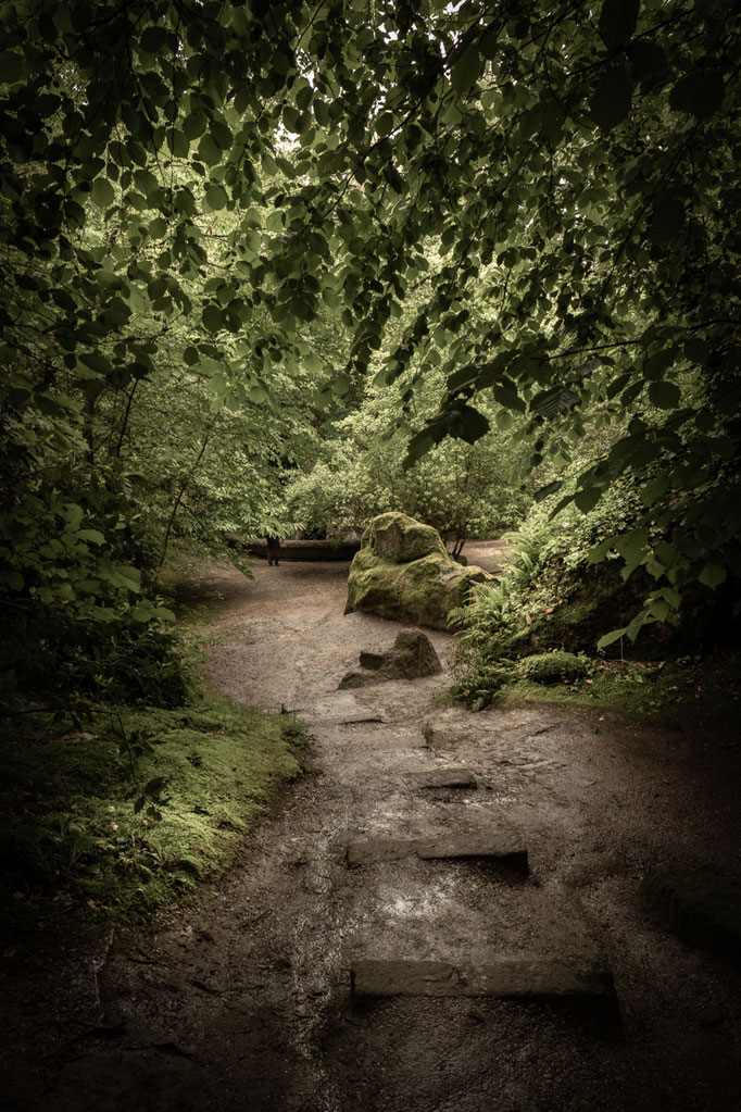 © Sibylle Pietrek 2019_Sacro Bosco-Bormarzo-Italien_190529_2293