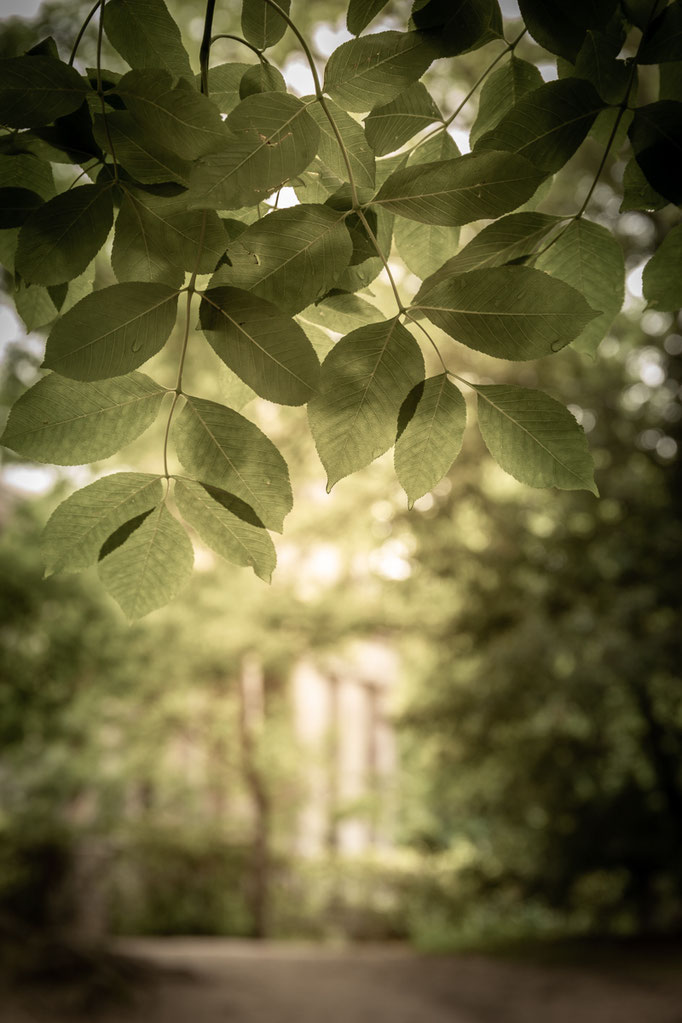 © Sibylle Pietrek 2019_Sacro Bosco-Bormarzo-Italien_190529_2348