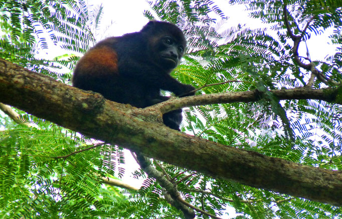 COSTA RICA