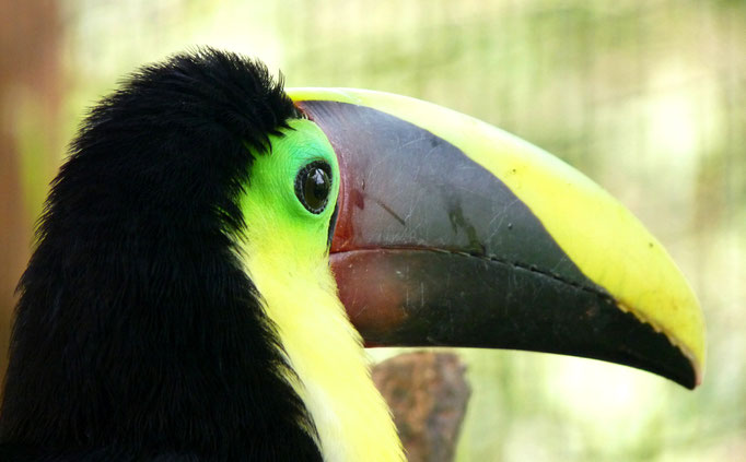 COSTA RICA