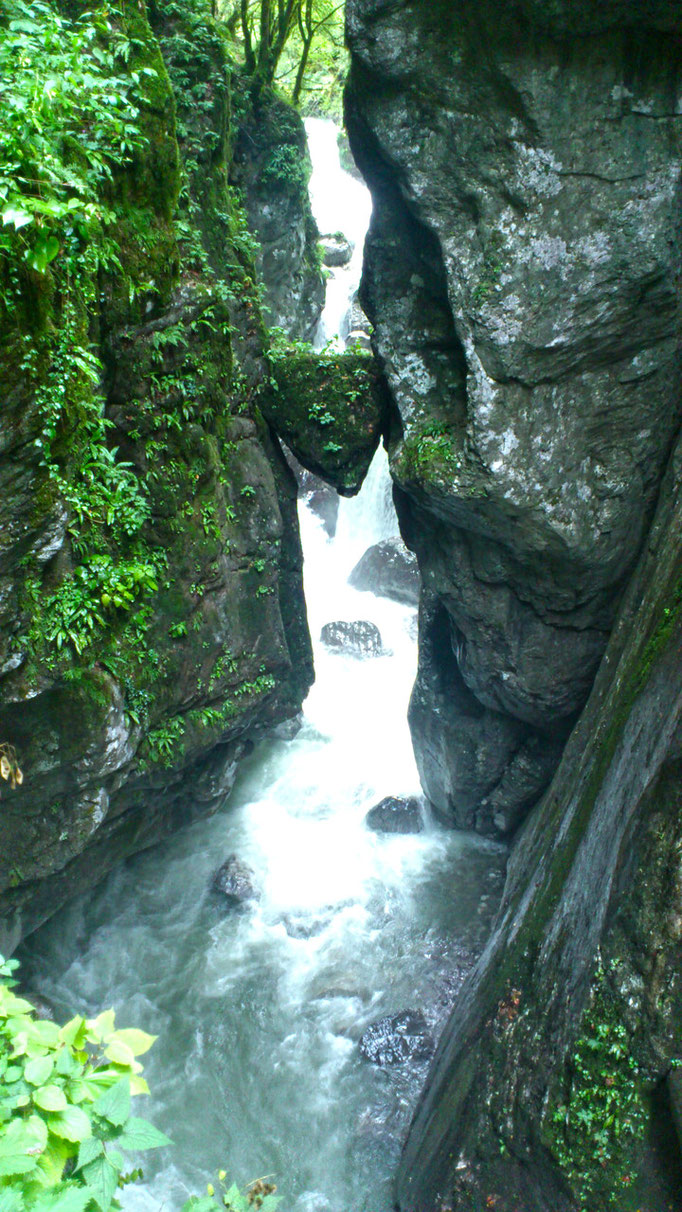 ESLOVENIA