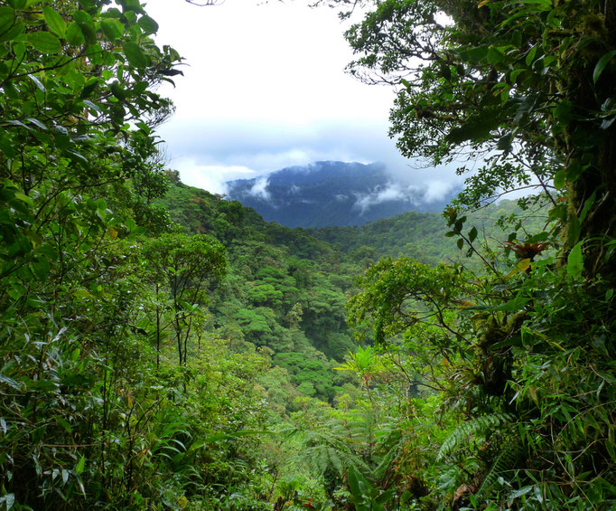 COSTA RICA