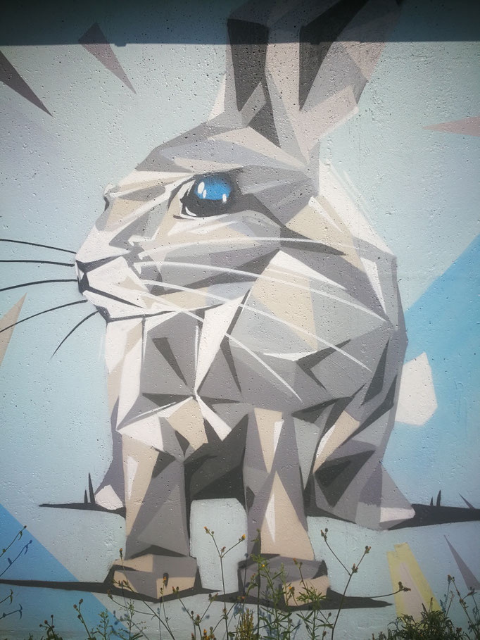 Künstlerischer Vandalismusschutz durch ein Wandgemälde einer Eule im geometrischen Stil auf einem Technikgebäude. Appolloart bietet diese präventive Gestaltung in ganz Deutschland an.