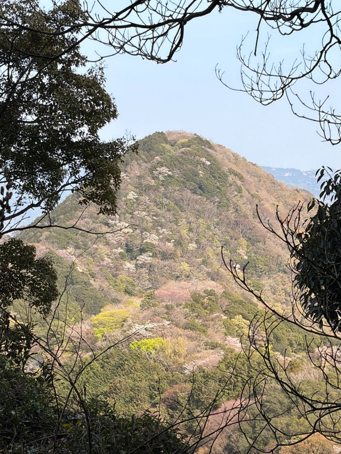 春の山♪ パステルカラーにキュン！