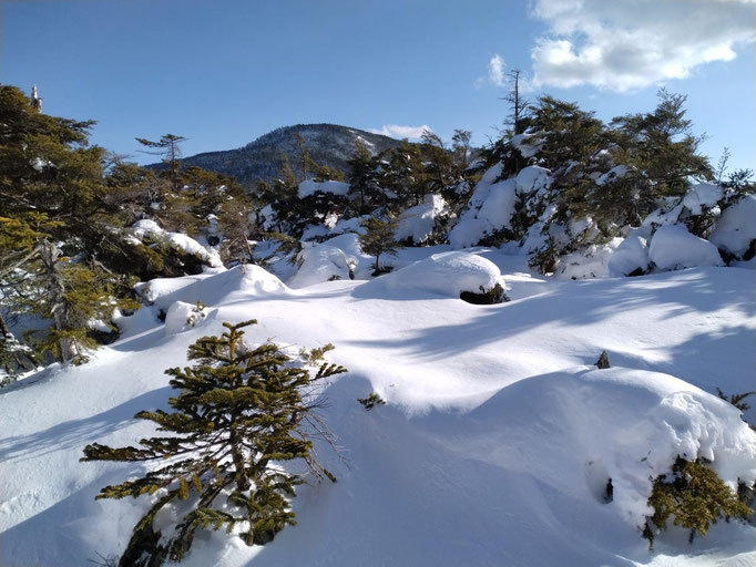 6.北横岳坪庭