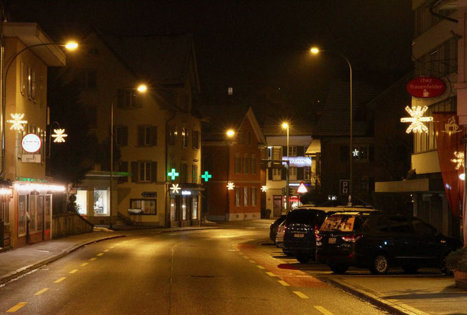 Weihnachtliche Impressionen aus Unterwetzikon, mit Weihnachtsstern.