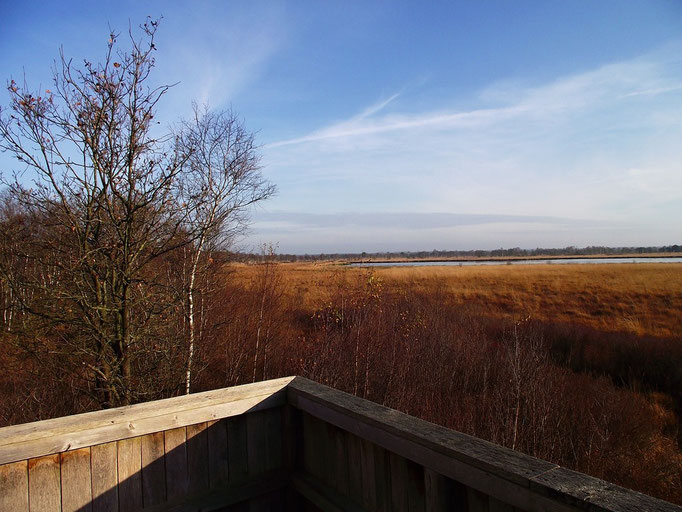 Augustendorf Huvenhoopsmoor Www Oste Town De Bremervorde Die Private Fotoseite Von Bremervorde