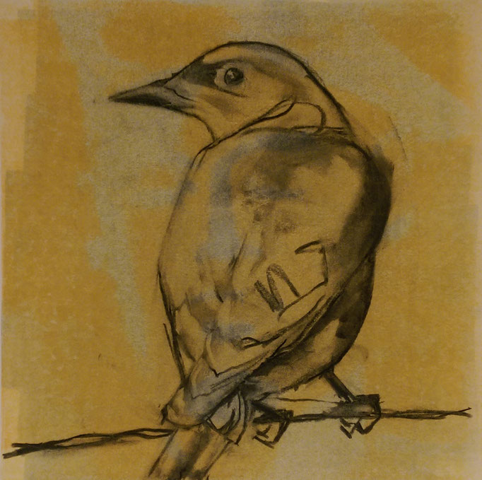 "Bird on a Wire" 16x16, monotype and charcoal, SOLD