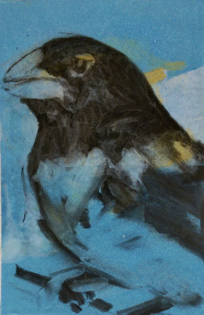 "Grosbeak" 14x11, monotype and charcoal, $350