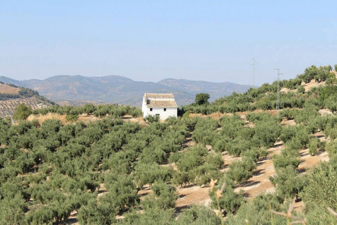 El cortijo El Altar