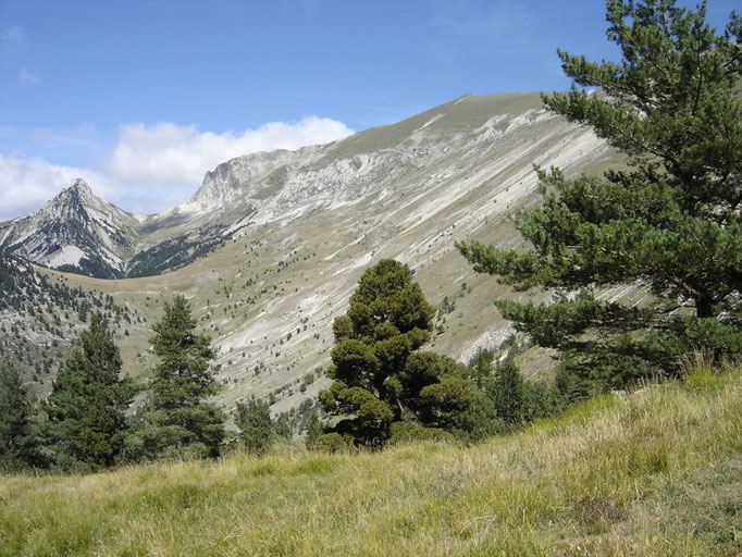 Jocou et col de Seysse, en limite du Diois