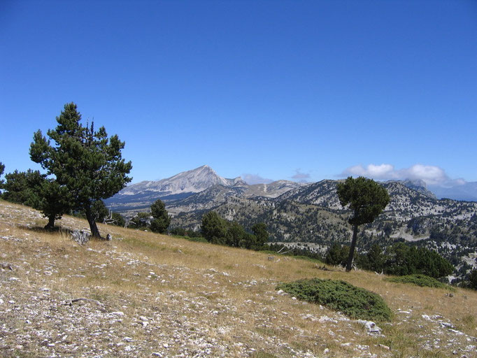 Le Grand Veymont