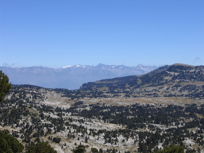 les hauts plateaux du Vercors