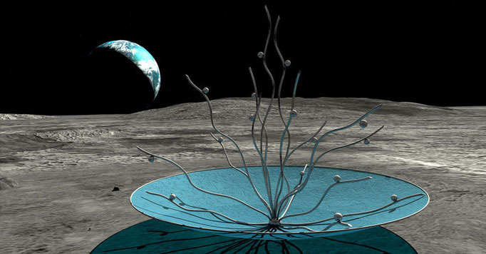Vitae Project, une sculpture sur la Lune - Anilore Banon