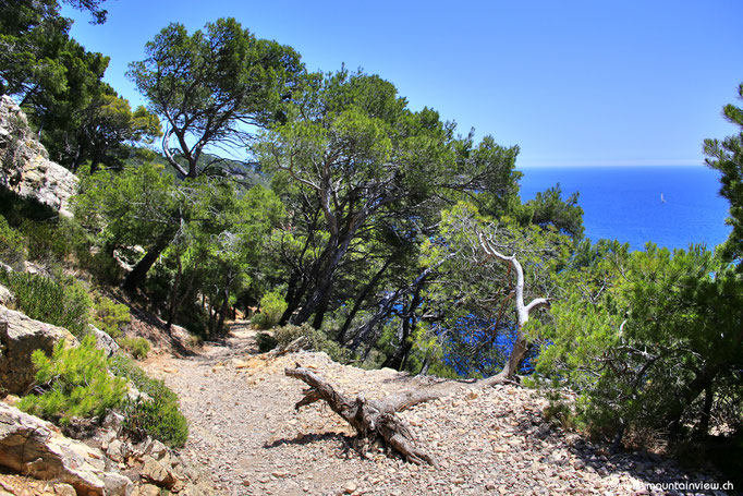 Ausblick auf der Wanderung von La Madrague Richtung Port d'Alon