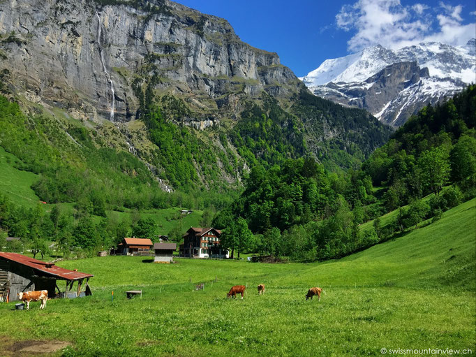 Stechelberg - zuhinterst im Lauterbrunnental