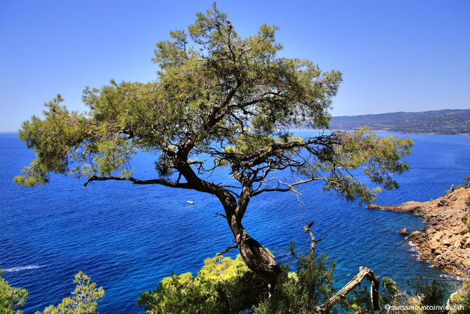 Ausblick auf der Wanderung von La Madrague Richtung Port d'Alon