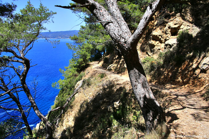 Ausblick auf der Wanderung von La Madrague Richtung Port d'Alon