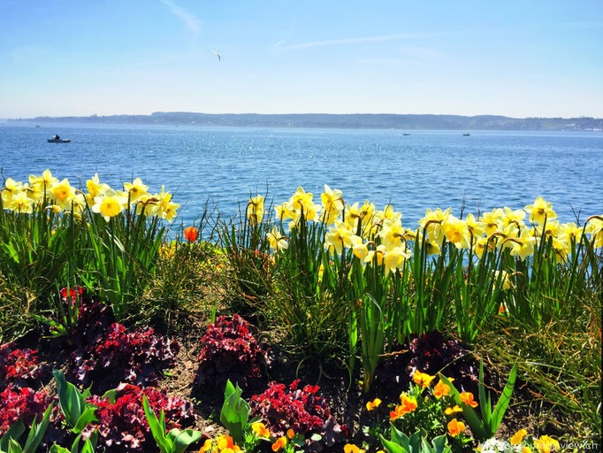 Meersburg Promenade