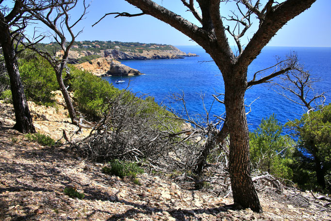 Ausblick auf der Wanderung von La Madrague Richtung Port d'Alon