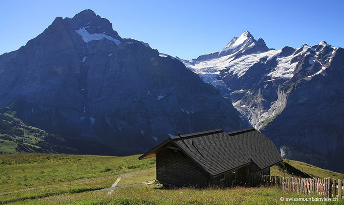 Das Wetterhorn liegt noch im Schatten - bzw. Gegenlicht.