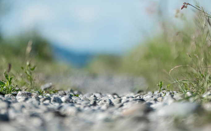 Steine