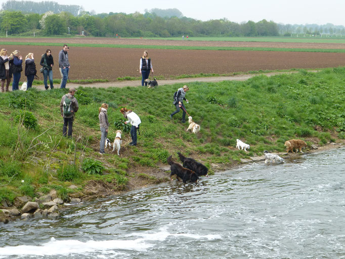 Foto: von Kempen