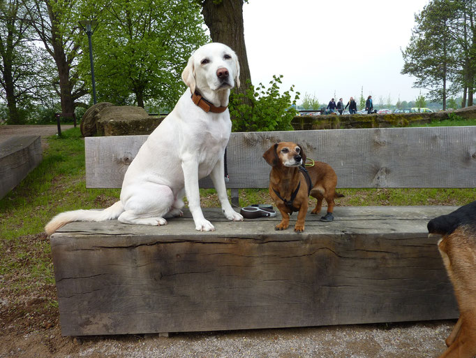Foto: Oetken