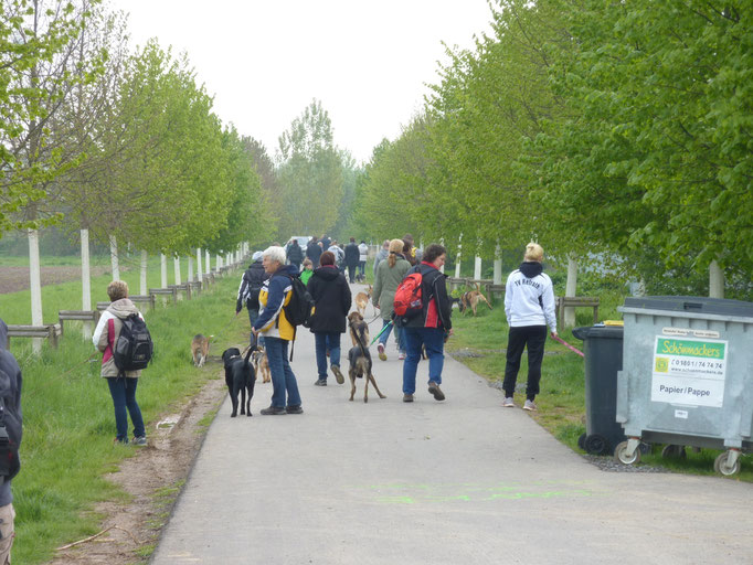 Foto: Oetken