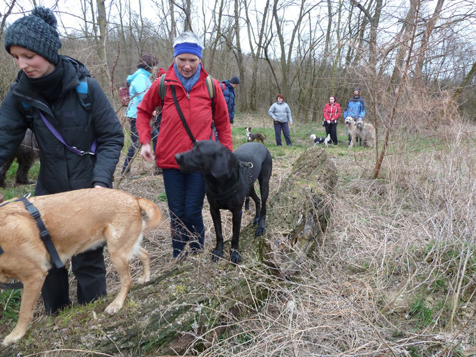 Abenteuerspaziergang - Adventure Walk - Balancieren immer ein Schwerpunkt