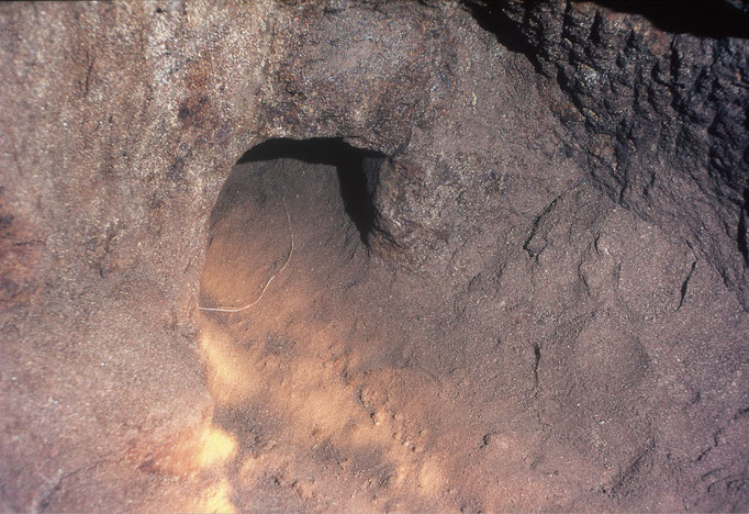 Schlupfloch, Foto Prof. Dr. Spitzlberger