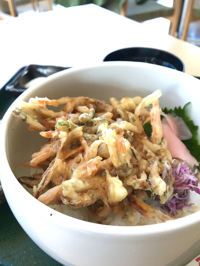 「道の駅しょうわ 花の大地」わかさぎかき揚げ丼