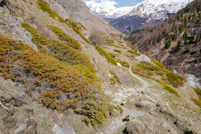 Zmuttbachtal