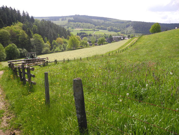 Feuersbach