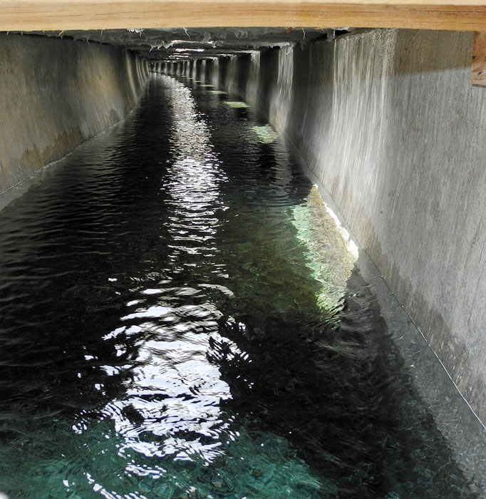 Inside the falaj, close to the village when the underground tunnel reaches the surface 