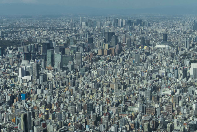 View of Tokyo, Akihabara district with the Tokyo Dome and Shinjuku, Shibuya districts in the background 