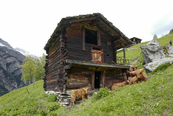 Alm bei Biffig, Mattertal